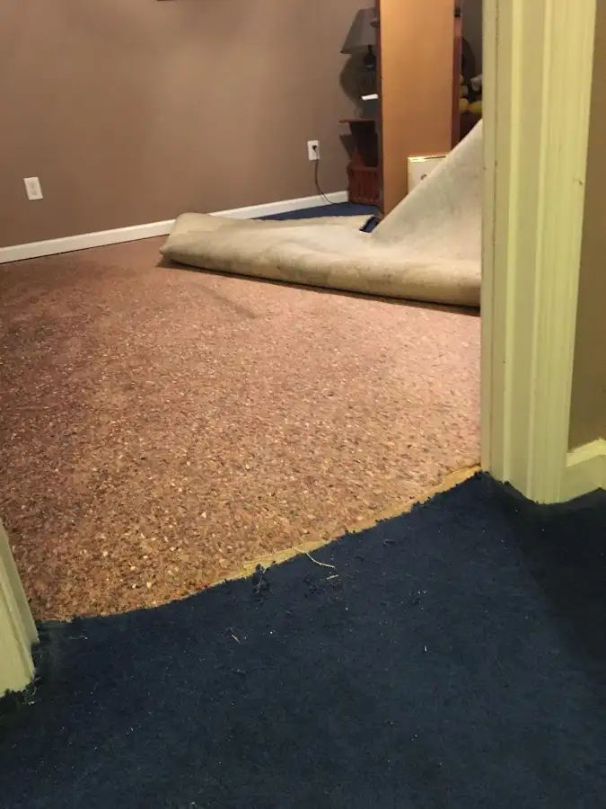 Carpet pad removal revealing water damage during Water Mitigation Services in Virginia