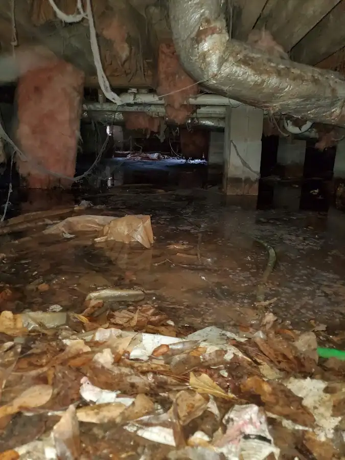 Crawl space flood assessment for Commercial Water Damage Restoration in Virginia