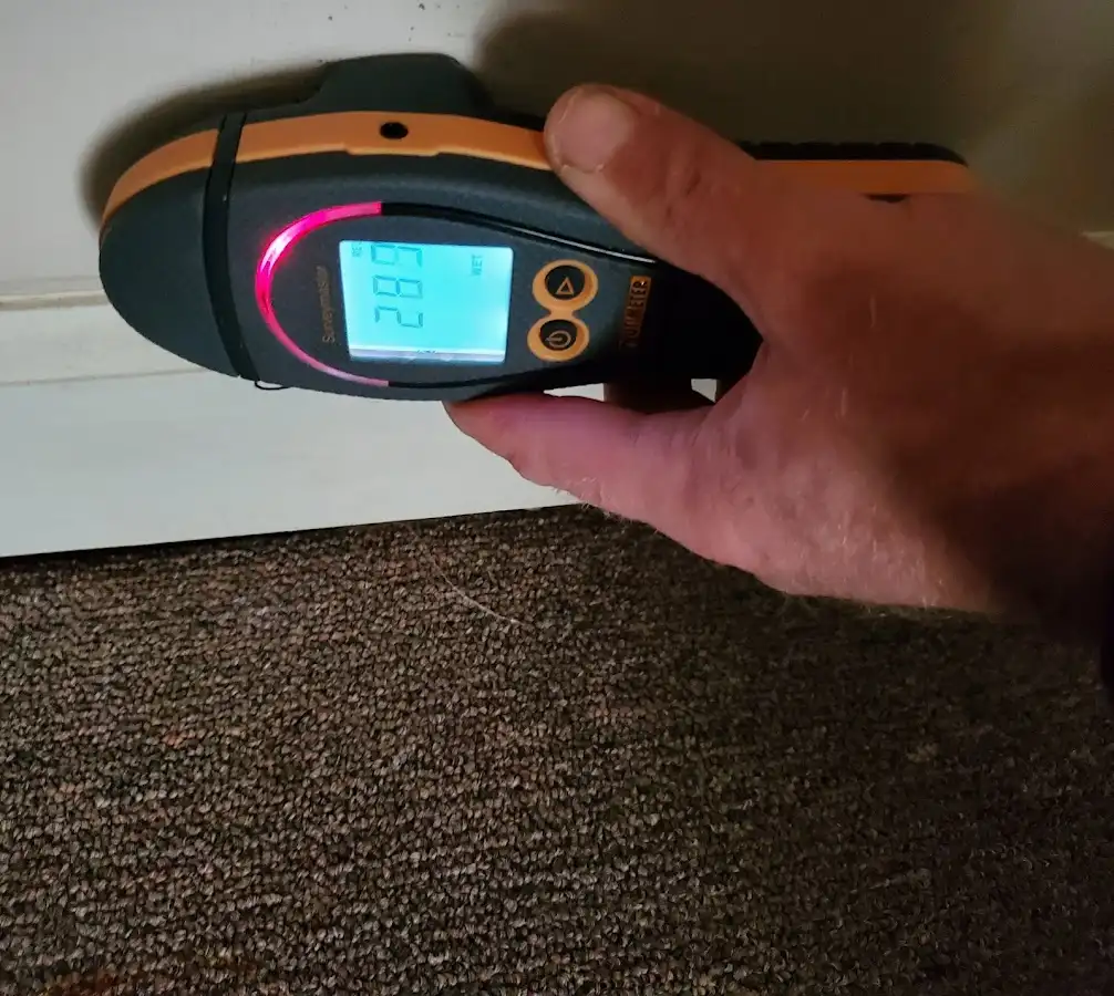 Moisture detection at baseboard during Sewage Cleanup & Sanitation in Virginia